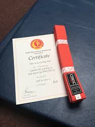 Image result for North West Chinese Kickboxing