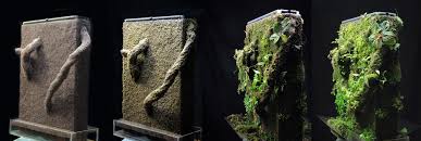 Attēlu rezultāti vaicājumam “Enteridium variabile”