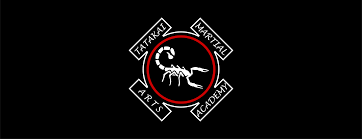 Image result for Scorpion Martial Arts Academy