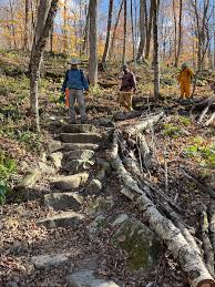 Image result for Green Lane Mountaineering Club, Surrey