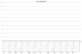Attēlu rezultāti vaicājumam “Carex disperma”