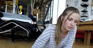 Image result for Amelia Andersdotter