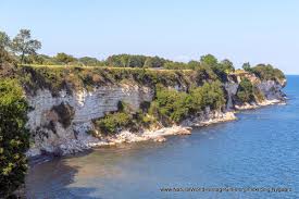 Image result for stevns klint