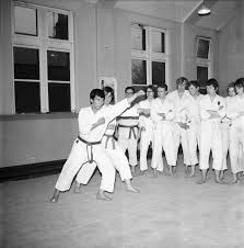 Image result for Burnley Wado Ryu Karate Club