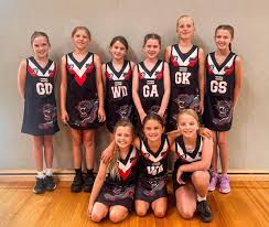 Image result for Medway Panthers Netball Club
