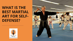 Image result for Combined self defence arts