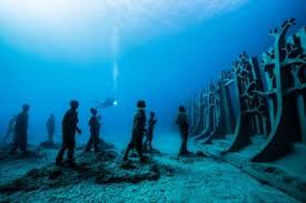 Image result for Canary Divers