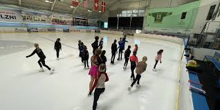 Image result for Guildford Ice Figure Skating Club