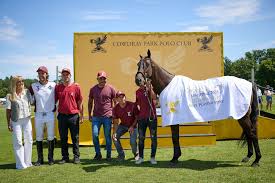 Image result for Cowdray Park Polo Club
