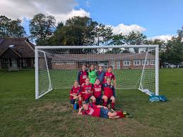 Image result for Hassocks Ladies FC