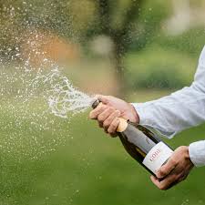 Image result for [Champagne]