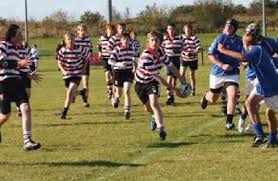 Image result for Novocastrians Rugby Football Club