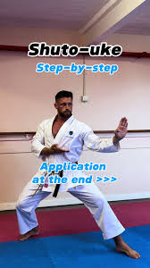 Image result for TIVERTON SHOTOKAN KARATE CLUB