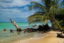 Image result for cahuita costa rica