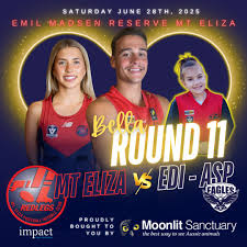 Image result for Ponteland Netball Club