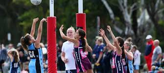 Image result for Wombles Netball Club