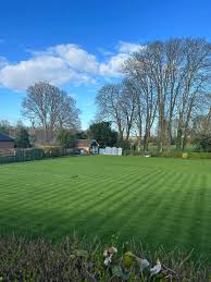 Image result for Twyford Bowls & Lawn Tennis Club