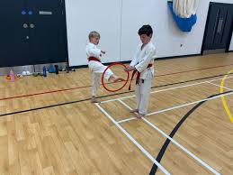 Image result for Junsui Shotokan Karate Do