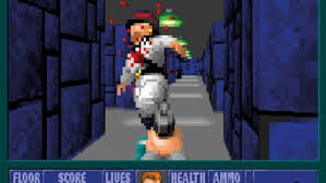 Image result for wolfenstein 3d