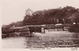 Image result for Byfleet Angling Club