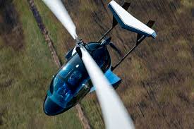 Image result for gepetto tehron