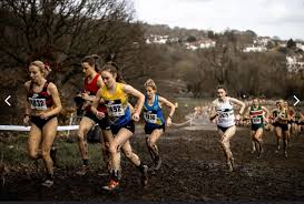 Image result for Bracknell Ac
