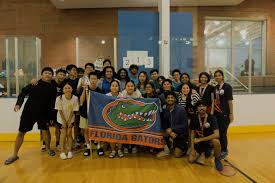 Image result for Paces Badminton Club