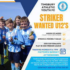 Image result for Timsbury Athletic Youth FC