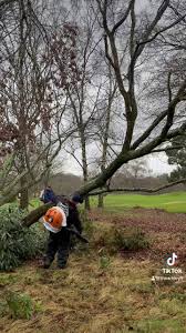 Image result for Arkley Golf Club Ltd