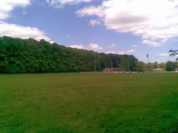 Image result for Northampton Old Scouts Rfc