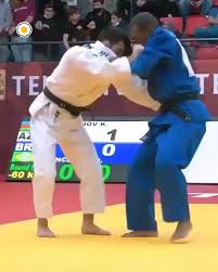 Image result for Judo Excellence