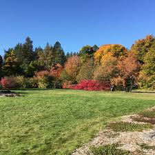 Image result for Finch Hill Bowling Club