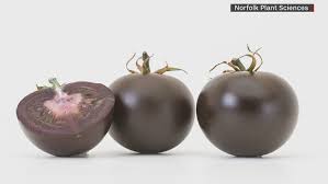 Afbeeldingsresultaat voor prudence purple tomato