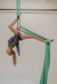 Image result for Harriers Acrobatic Gym Club