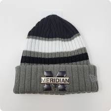 Image result for Team Meridian