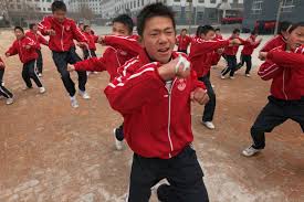 Image result for Shaolin Ancestors kung Fu School