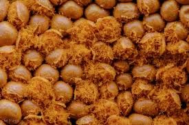 Attēlu rezultāti vaicājumam “Oligonema persimile spores”