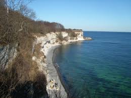 Image result for stevns klint