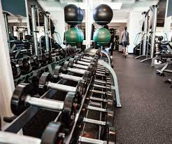 Image result for Swallows Of Helston Gym Club