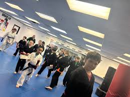 Image result for Apollo Martial Arts Academy