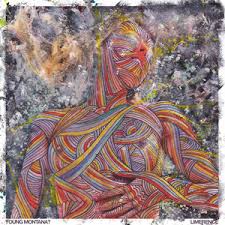 Attēlu rezultāti vaicājumam “Tubifera montana young”