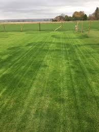 Image result for All Cannings Cricket Club