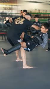 Image result for GFC Muay Thai Boxing