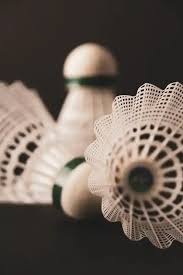 Image result for Rainbow Badminton Club