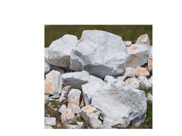 Image result for SEM micrographs of Novaculite Arkansas