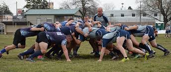 Image result for Haresfinch Amateur Rugby League Football Club