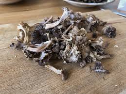 Attēlu rezultāti vaicājumam “Pseudocraterellus”