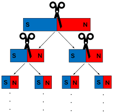 Image result for Pole Magnets
