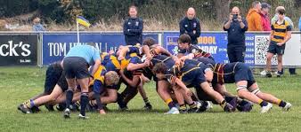 Image result for Colfeian Sports Club