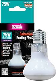 Risultati immagini per arcadia basking solar flood